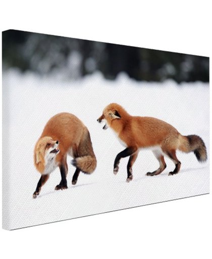 Vechtende vossen Canvas 80x60 cm - Foto print op Canvas schilderij (Wanddecoratie)