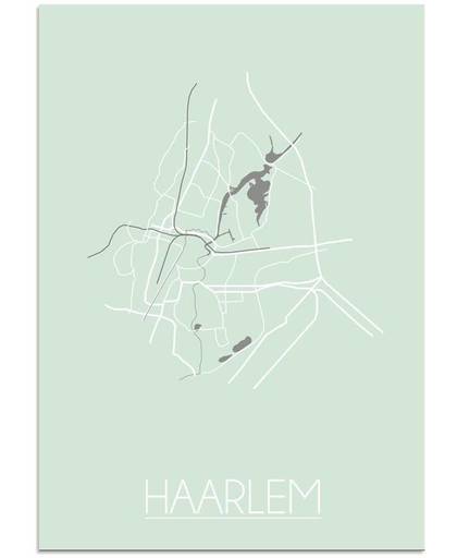 Plattegrond Haarlem Stadskaart poster DesignClaud - Pastel groen - A3 poster