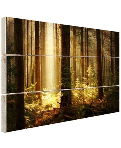Bos met zonnestralen Hout 80x60 cm - Foto print op Hout (Wanddecoratie)