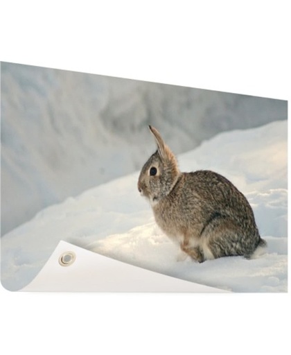Wild konijn in de sneeuw Tuinposter 60x40 cm - Foto op Tuinposter (tuin decoratie)