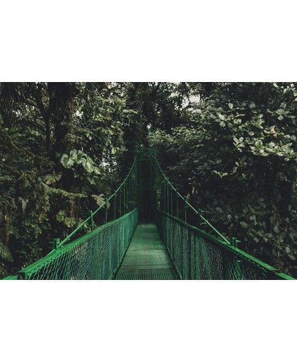 Brug Behang | Mysterieuze brug bij het bos | 375 x 250 cm | Extra Sterk Vinyl Behang