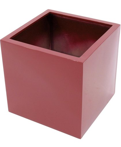 Europalms LEICHTSIN BOX-50, glanzend rood