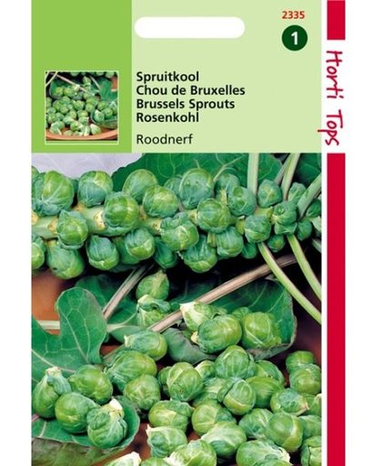 Spruitkool Roodnerf - Brassica oleracea - set van 10 stuks