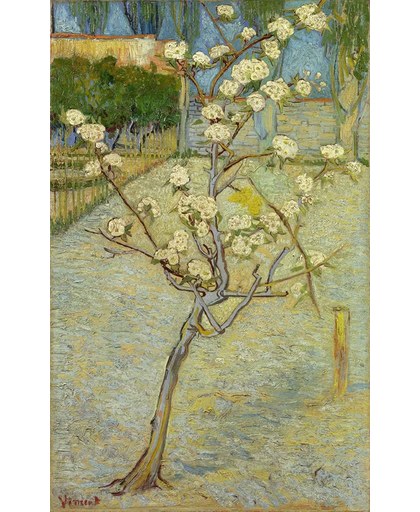 Vincent van Gogh - Perenboompje in bloei - 40x65cm Canvas Giclée