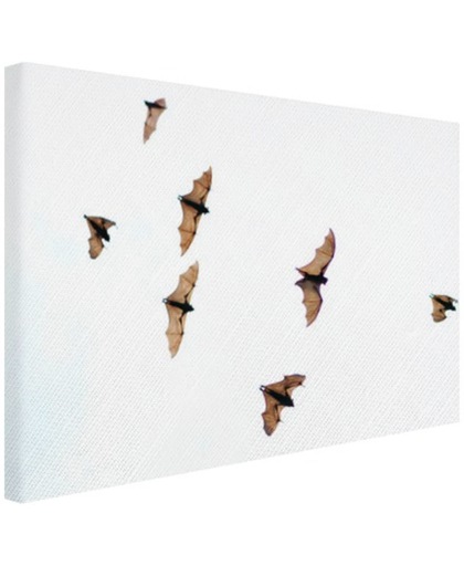 Vliegende vleermuizen Canvas 30x20 cm - Foto print op Canvas schilderij (Wanddecoratie)