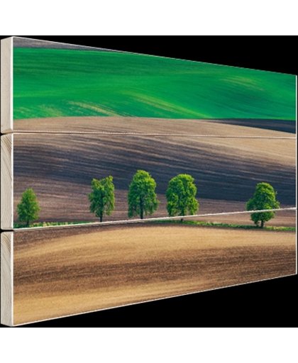 Velden Oost-Europa Hout 80x60 cm - Foto print op Hout (Wanddecoratie)