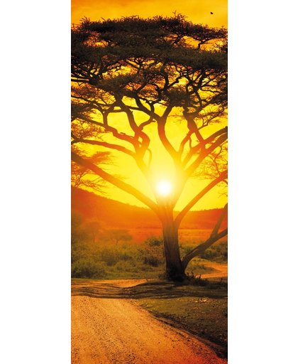Fotobehang Natuur, Zonsondergang | Oranje | 91x211cm
