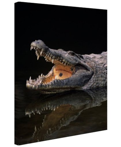 Nijl krokodil Canvas 60x80 cm - Foto print op Canvas schilderij (Wanddecoratie)