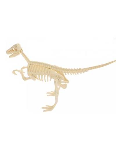 Toi-toys dinosaurus-skelet 10 cm c