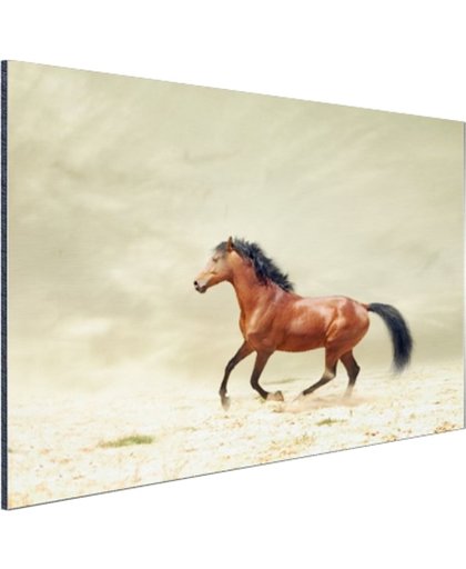 Galopperend paard Aluminium 120x80 cm - Foto print op Aluminium (metaal wanddecoratie)