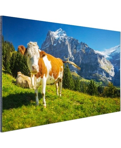 Zwitserse Koeien Aluminium 120x80 cm - Foto print op Aluminium (metaal wanddecoratie)