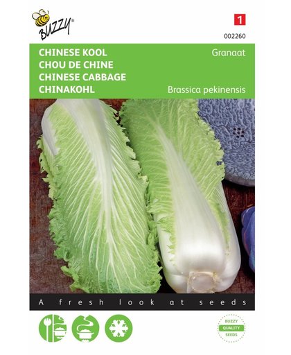 Chinese Kool Zelfsluitende Granaat - Brassica pekinensis - set van 9 stuks
