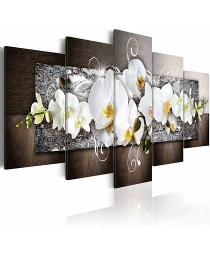Schilderij - Bloemen van onschuld - Orchidee