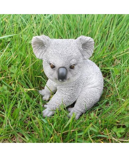 Koala beeld - set van 2 stuks