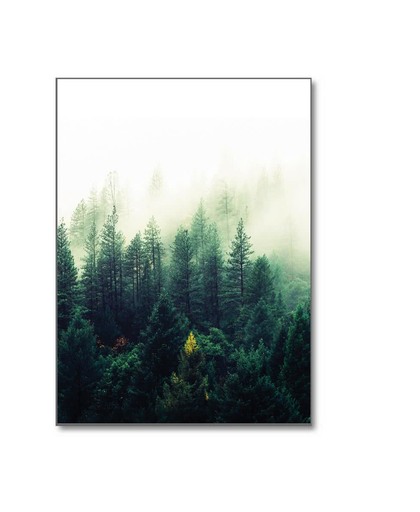 Minimalistic Wall Art - A3 Poster Wildernis Forest
