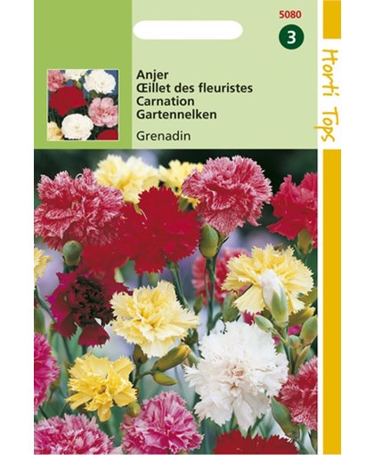 Hortitops Zaden - Dianthus Caryophyllus Grenadin Gemengd