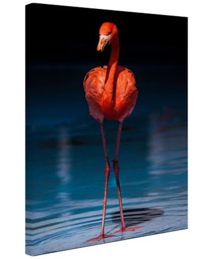 Flamingo donkere achtergrond Canvas 60x80 cm - Foto print op Canvas schilderij (Wanddecoratie)