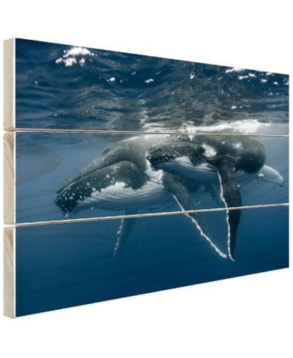 Bultrug moeder en kind zwemmen samen Hout 120x80 cm - Foto print op Hout (Wanddecoratie)