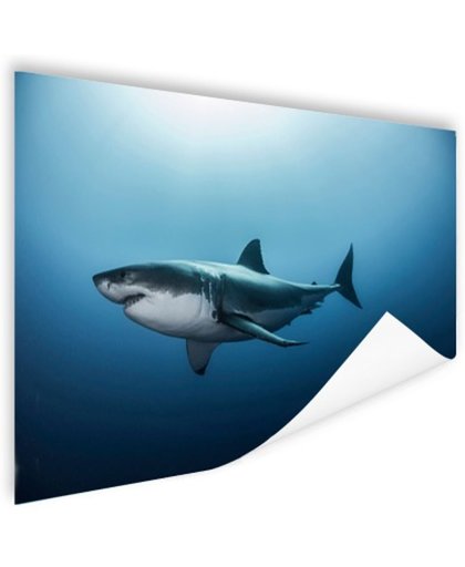 Zijaanzicht grote witte haai Poster 120x80 cm - Foto print op Poster (wanddecoratie)
