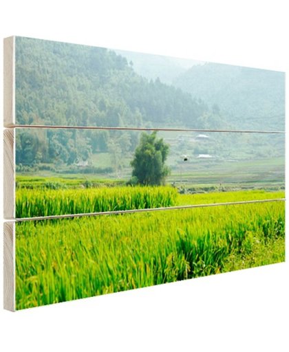 Rijstvelden in Azie foto Hout 80x60 cm - Foto print op Hout (Wanddecoratie)