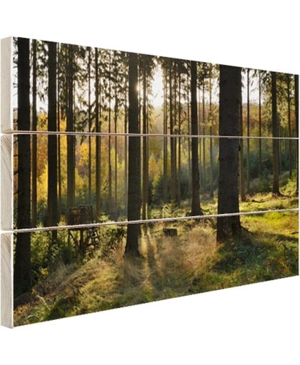 Een bosrijke omgeving op zonnige dag Hout 120x80 cm - Foto print op Hout (Wanddecoratie)