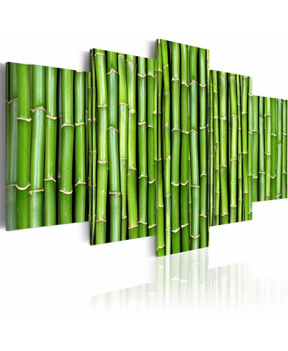 Schilderij - Bamboe - harmonie en eenvoud