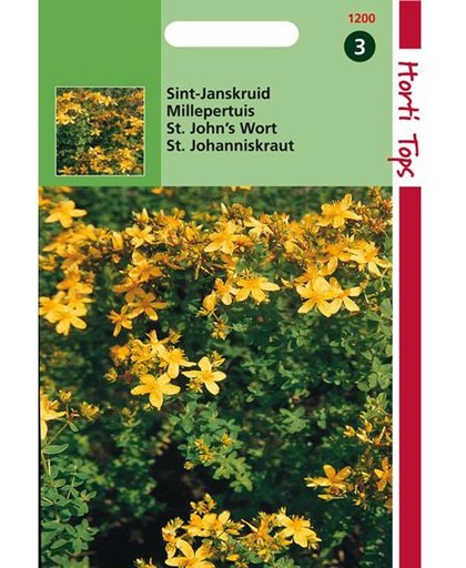 Sint-Janskruid - Hypericum perforatum - set van 8 stuks