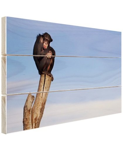 Chimpansee op boomstam Hout 80x60 cm - Foto print op Hout (Wanddecoratie)