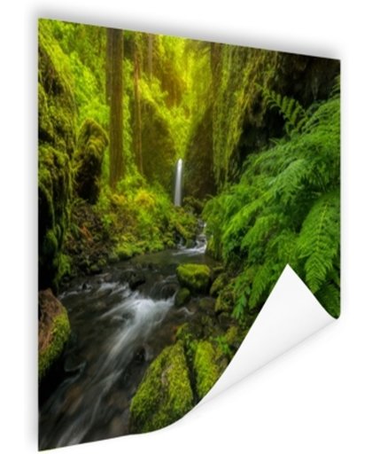Prachtig plaatje jungle Poster 120x80 cm - Foto print op Poster (wanddecoratie)
