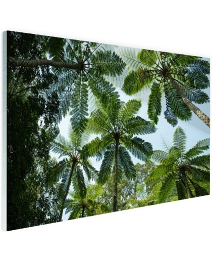 Bomen en bladeren in jungle Glas 60x40 cm - Foto print op Glas (Plexiglas wanddecoratie)