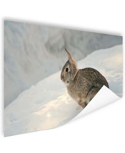 Wild konijn in de sneeuw Poster 60x40 cm - Foto print op Poster (wanddecoratie)