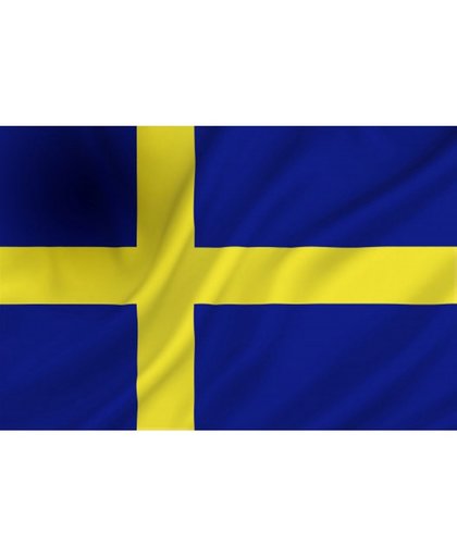 Dokkumer Vlaggen Centrale - Zweedse vlag - 100 x 150 cm