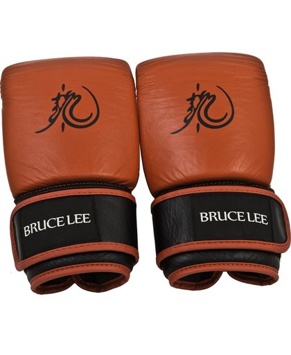 Bruce Lee Dragon Bokszak / Sparring Handschoenen - Leer - XL