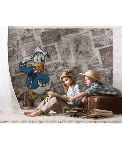 Fotobehang Disney, Donald Duck | Grijs | 104x70,5cm