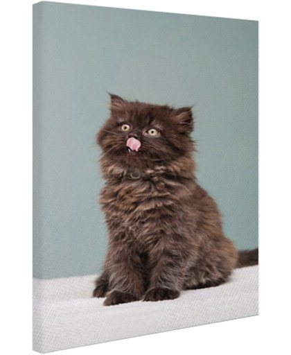 Perzisch katje steekt tong uit Canvas 60x80 cm - Foto print op Canvas schilderij (Wanddecoratie)