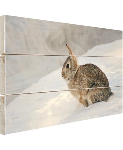 Wild konijn in de sneeuw Hout 120x80 cm - Foto print op Hout (Wanddecoratie)