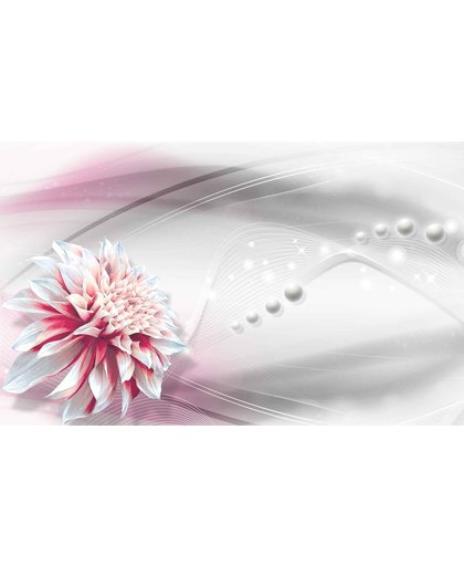 Fotobehang Beautiful Waterlily  | XXL - 206cm x 275cm | 130g/m2 Vlies