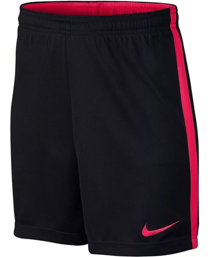 Nike Academy Junior Short