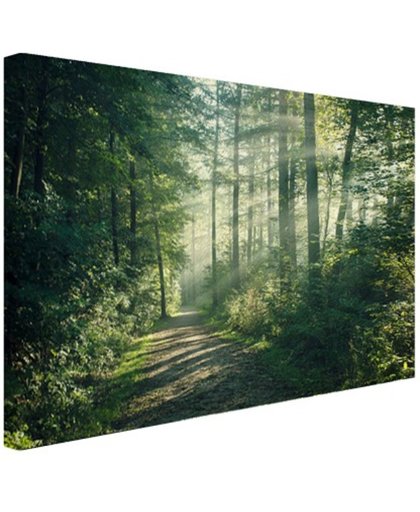 Zonnige oktobermorgen in het bos (Wanddecoratie) - Foto print op Canvas schilderij 120x80 cm