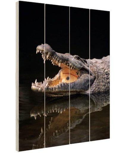 Nijl krokodil Hout 60x80 cm - Foto print op Hout (Wanddecoratie)