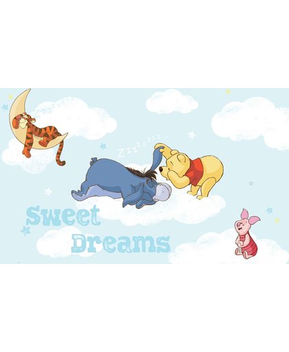 Fotobehang Disney Winnie Pooh Piglet Tigger Eeyore | XXL - 312cm x 219cm | 130g/m2 Vlies