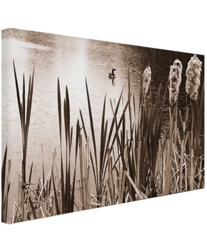 Wilde eend in een vijver sepia  Canvas 30x20 cm - Foto print op Canvas schilderij (Wanddecoratie)