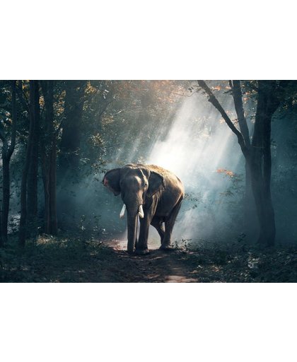 Jungle Behang | Olifant in het bos | 366 x 250 cm | Extra Sterk Vinyl Behang