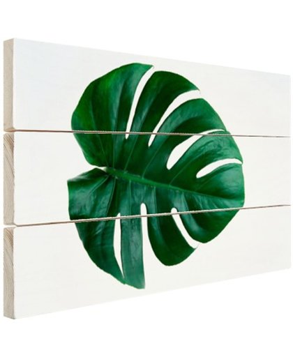 Gatenplant blad botanisch Hout 30x20 cm - Foto print op Hout (Wanddecoratie)
