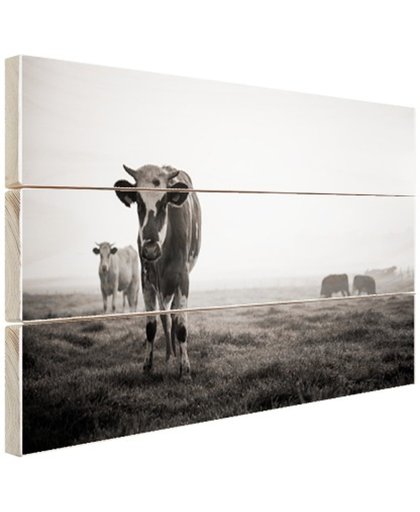 Koeien in de ochtendmist zwart-wit foto Hout 160x120 cm - Foto print op Hout (Wanddecoratie)