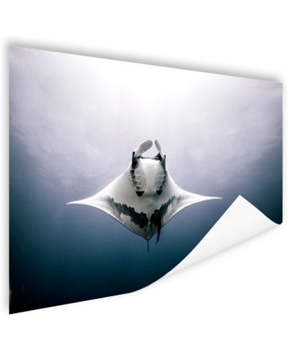 Onderaanzicht mantarog in de oceaan Poster 120x80 cm - Foto print op Poster (wanddecoratie)