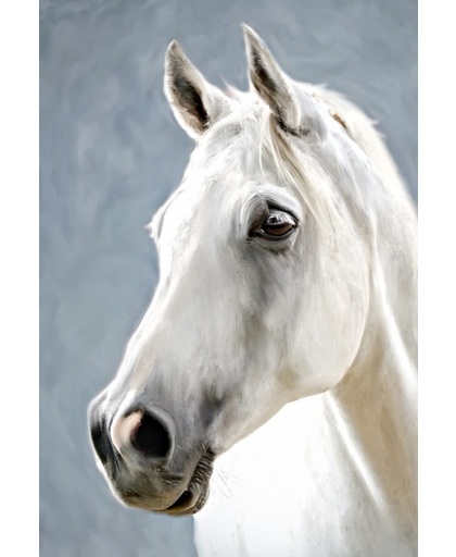 Tuinposter | Tuindoek - Wit paard