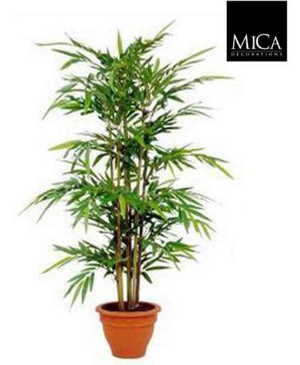 Mica flowers bamboe maat in cm: 150 x 75 in pot