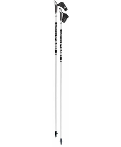 Gymstick - Fit Blader - Nordic Blading - 160cm