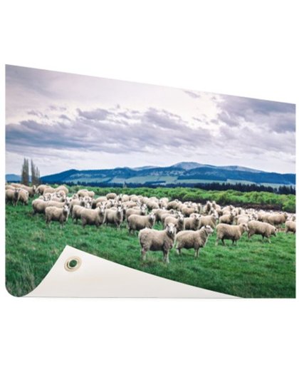 Kudde schapen  Tuinposter 120x80 cm - Foto op Tuinposter (tuin decoratie)